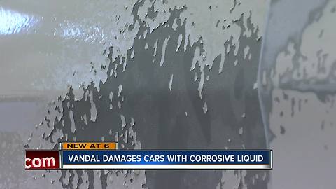 Four cars damaged by acid-like liquid in popular Tampa parking lots