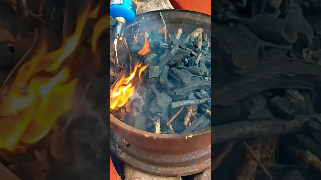 How To Start A WOODFIRE With NO Fuel!#reels #shorts #reels #jamaica #wildfire