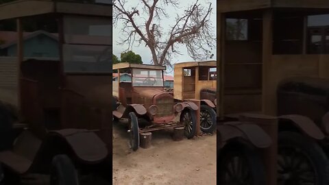 CUTE CAT LIKES OLD CARS