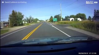 L'accident de camion le plus loufoque au monde