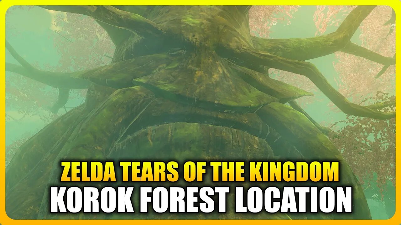 Zelda Tears of the Kingdom - How to reach Korok Forest & Save The Great Deku Tree in Lost Woods