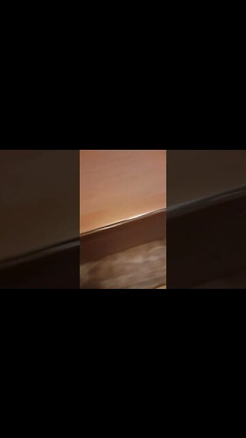 GTRACING got my seat replacement part