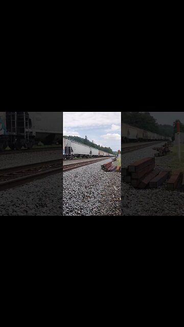 a bunch of hoppers #train #youtube #youtubeshorts #shortsvideo #short