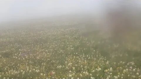 #manzara, #nature, #yaylalar, #plateu,