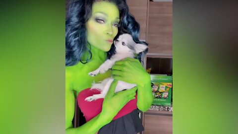 Best Funny Animal Videos 2022 😂▫️Best Cats And Dogs Videos 🐶😍 #10 #funny #2022