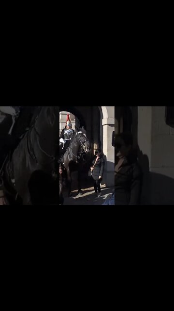 yanking the Reins away from her #horseguardsparade