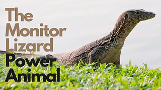 Monitor Lizard Power Animal