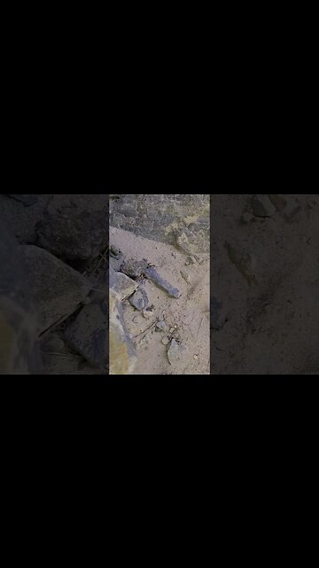 Toad can't climb rock