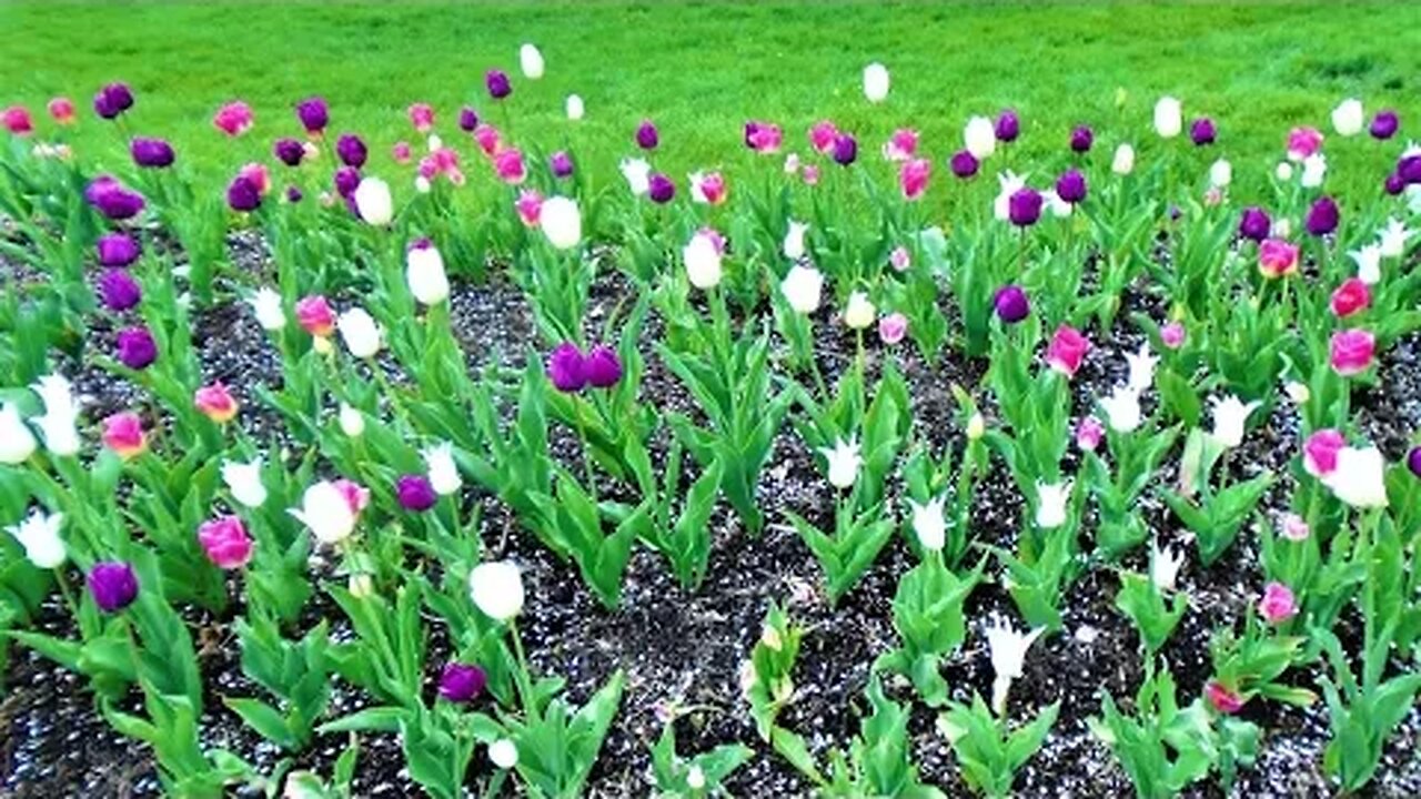 Photo Tour : Inniswood Revisited