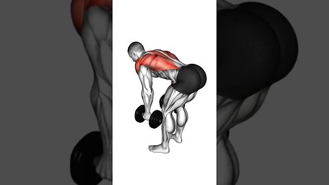 The best exercise back