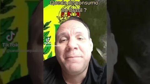 Queda do consumo no Brasil ? crise no futuro?