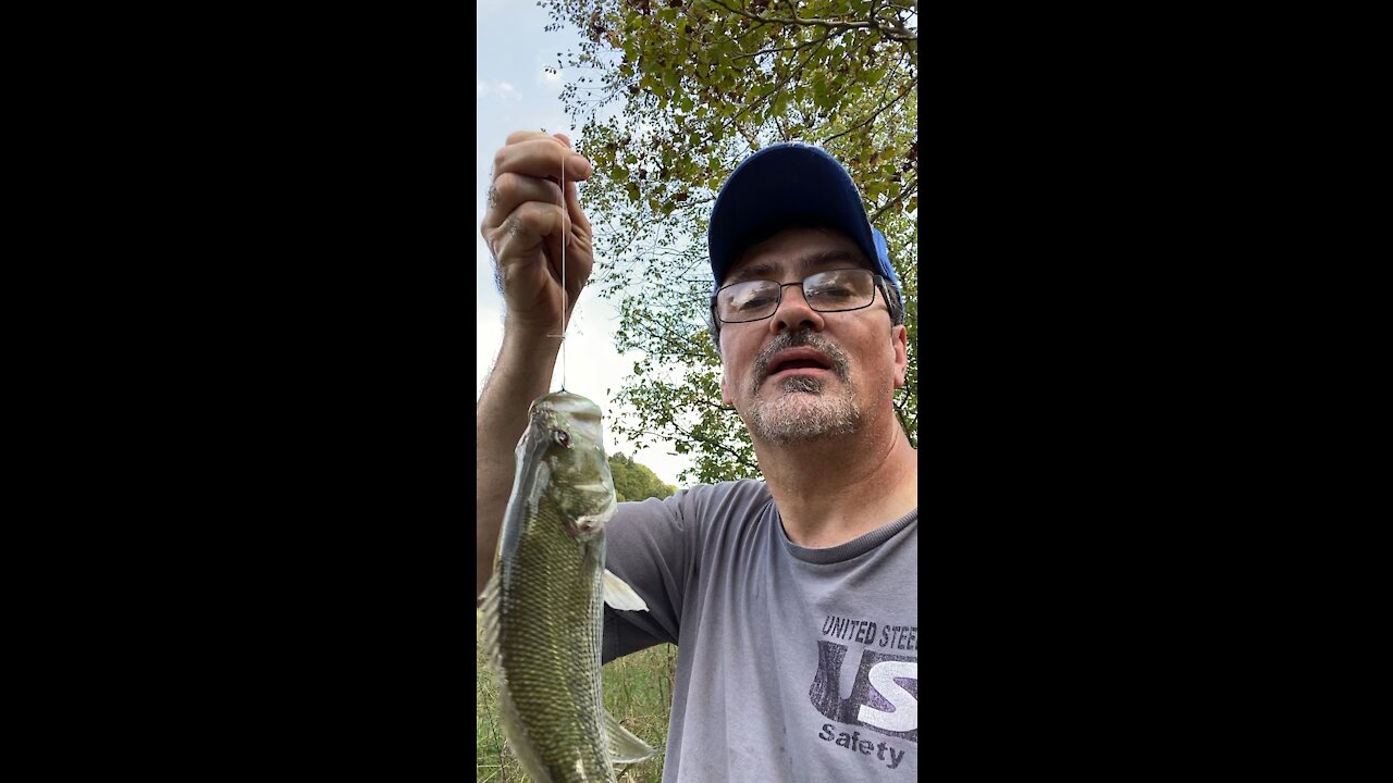 13 “ bass