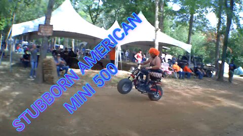 STUBBORN AMERICAN MINI 500!