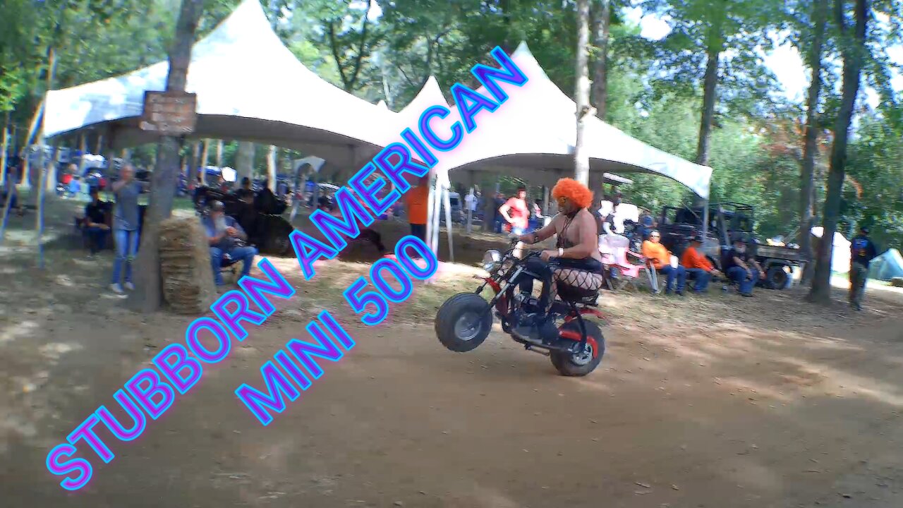 STUBBORN AMERICAN MINI 500!