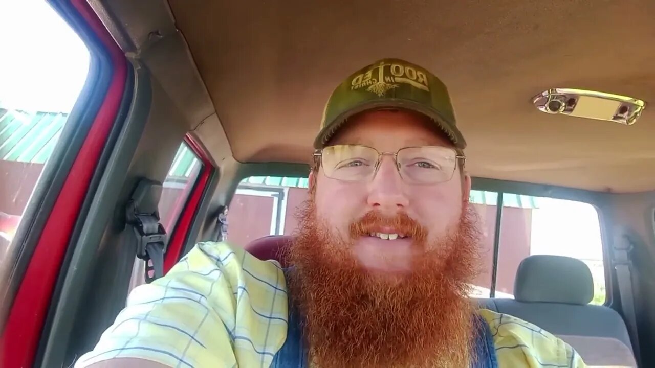 Loss on the Homestead: Stella the milk cow.