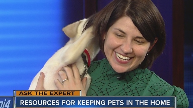 Ask the Expert: Resources for keeping pets in the home