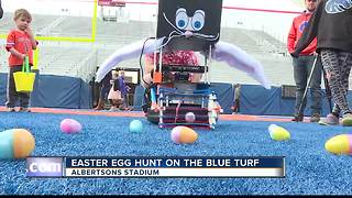 Easter egg hunt on the blue turf