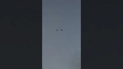 What to say when you miss an Easy Duck!