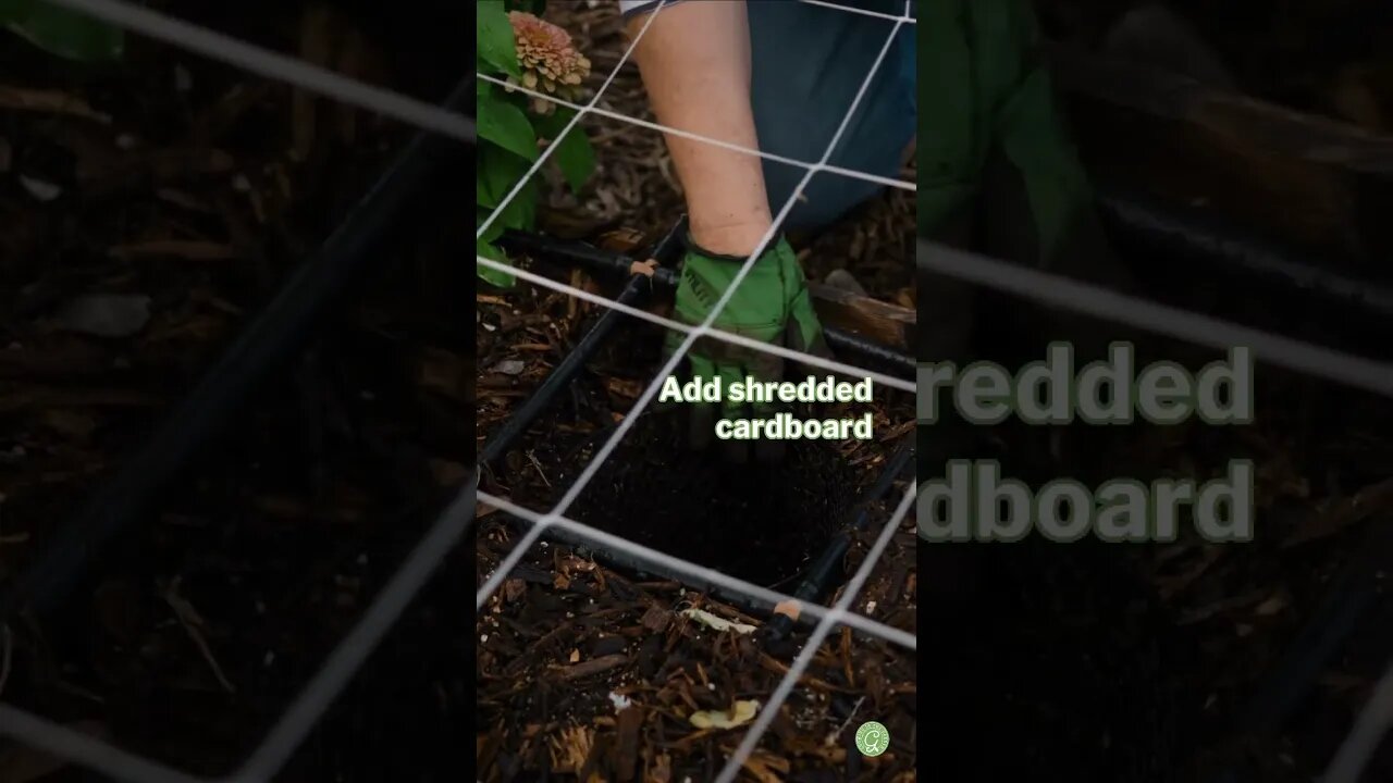 Adding Scraps to a Worm Compost Bin #vermicompost