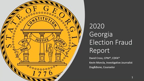 VoteGA Fraud Report