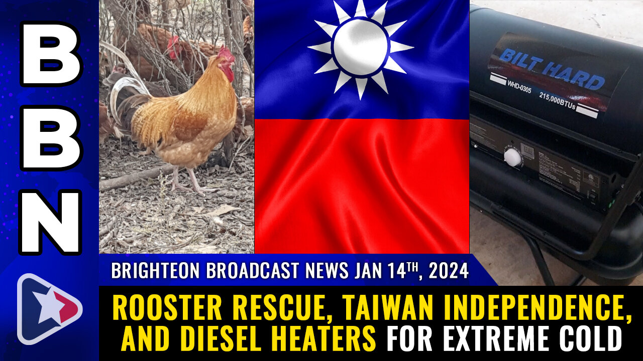 BBN, Jan 14, 2024 - Rooster RESCUE, Taiwan independence, and diesel heaters for EXTREME COLD