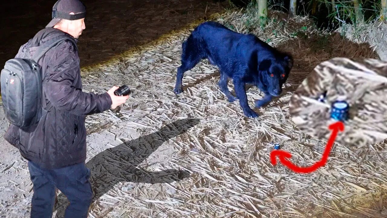 PRETO VÉIO APARECE E SE TRANSFORMA EM CACHORRO EM NOSSA FRENTE