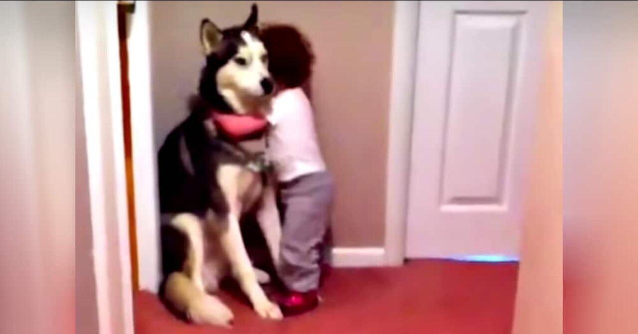 Baby is scared of vacuum cleaner and runs to dog for protection