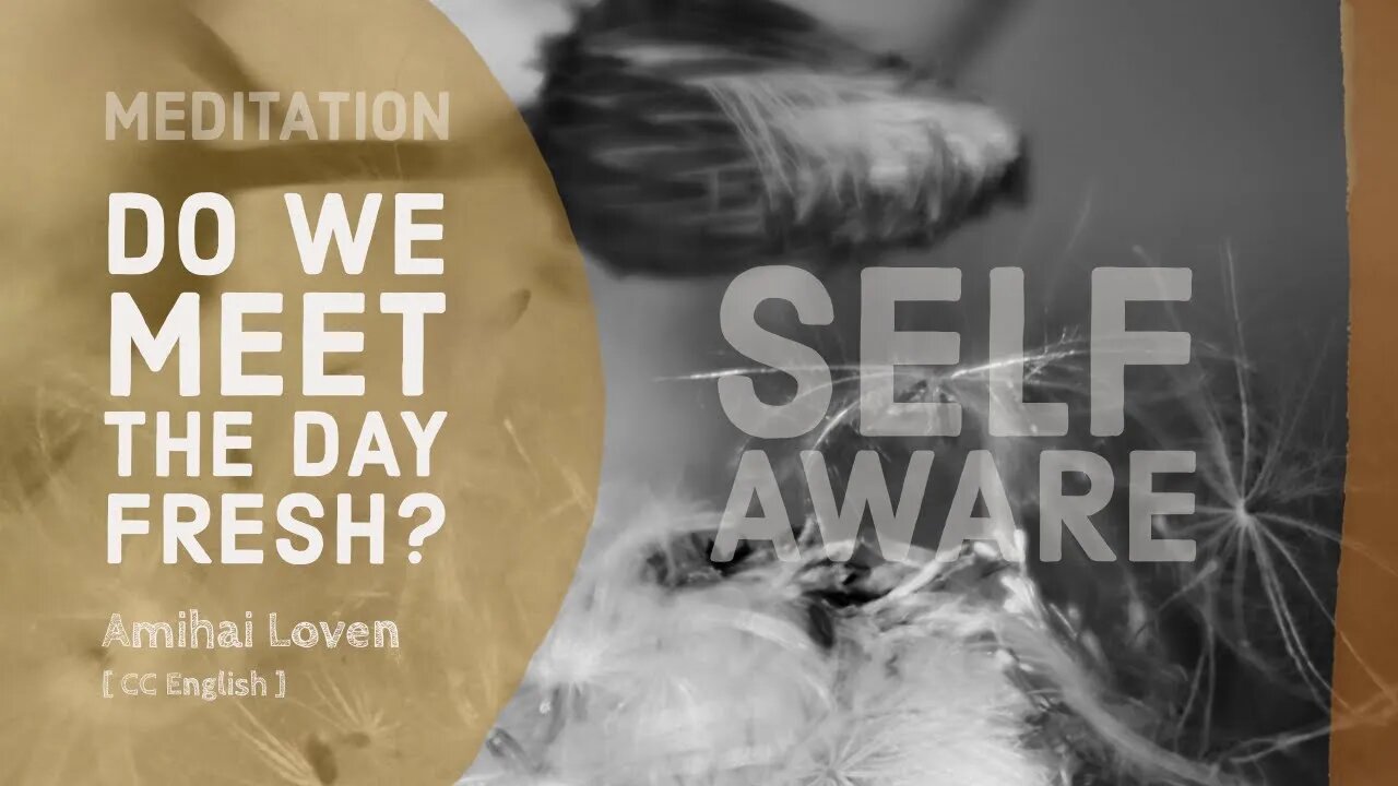 Do we meet the day fresh? | Self Aware Meditation | Amihai Loven