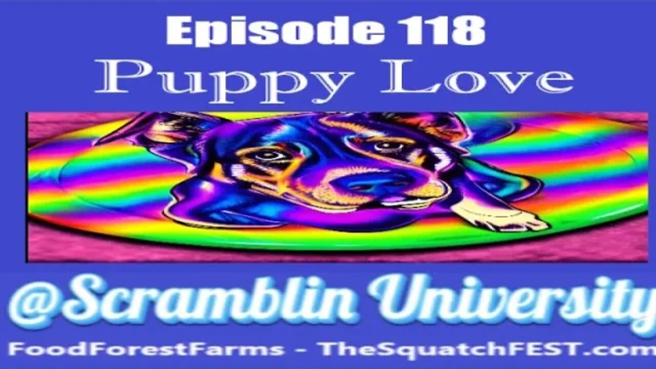 #Scramblin University - Episode 118 - Puppy Love