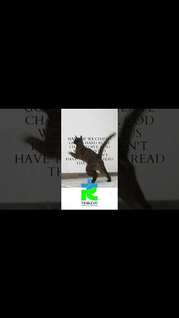 THE CHASE... www.RCTBW.org