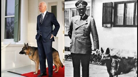 Abuse. Joe Biden uses dogs like props, then threw them away like trash