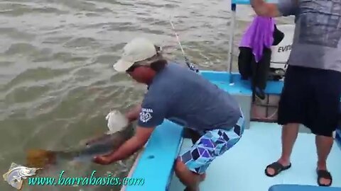 Discover how to catch barramundi with Barra Basics