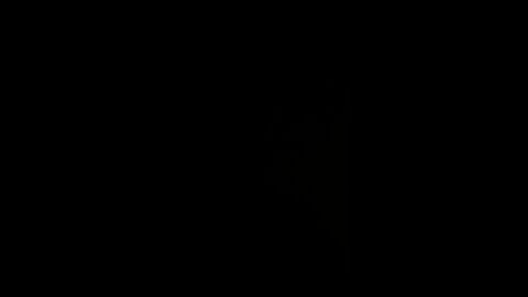 25 days of diesel left!