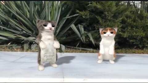 Dancing Cats