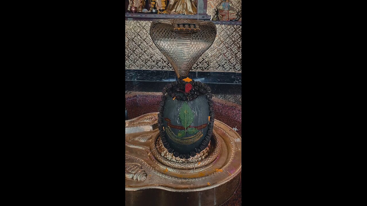 Mahadev Sambhu 🙏