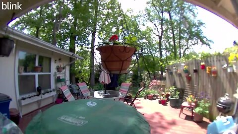 SOUTH_VIDEO_DOOR_BELL_2023-04-26T11_49_05-0400.mp4