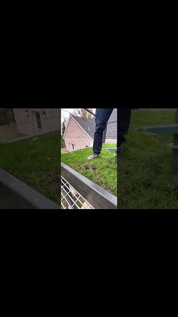 Hair Plugs for Grass