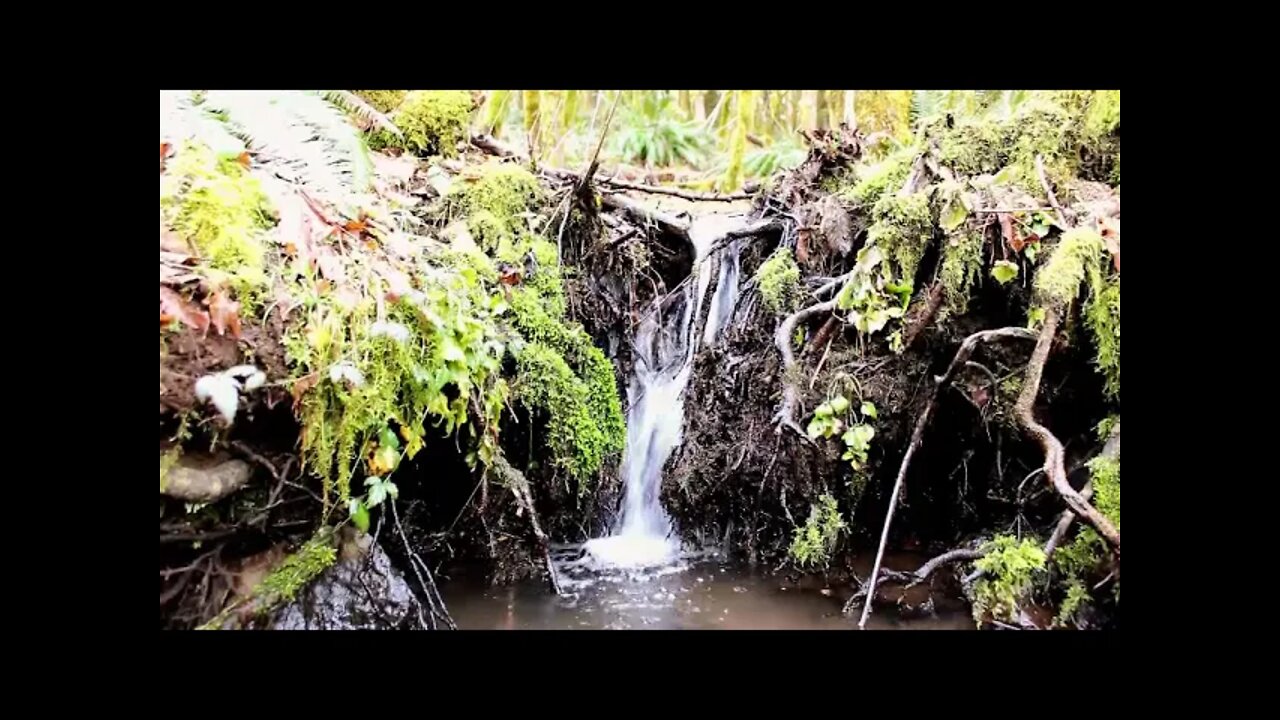 My Sister singing Pour My Love ‐ (by: Dan Dean and Gary Sadler)