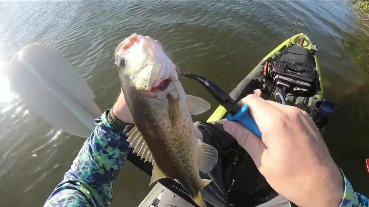 The Un-offical Start of the bass season in Cape Coral.. (for us anyway)