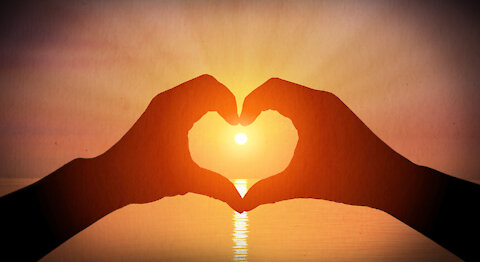 HIGHLIGHTS - Love Is Our Human Nature