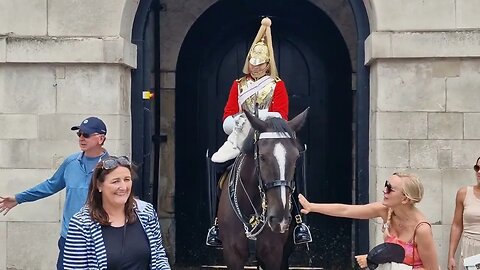 Another tourist grabbing the reins #horseguardsparade
