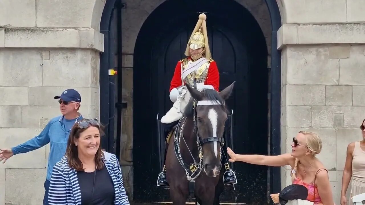 Another tourist grabbing the reins #horseguardsparade