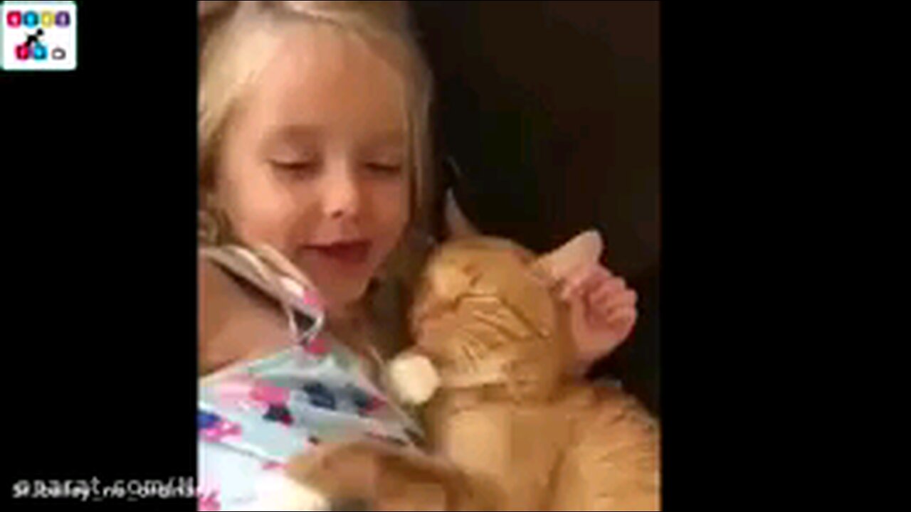 cat and baby