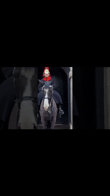 Driver passing by tries scare horse by bibbing car horn #horseguardsparade
