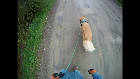 May 21st, 58º rained overnight, short video due to black flies.