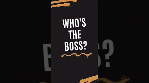 Who's the Boss? 🐶 #shorts #asmr #funny dogs #Dogs #Shorts