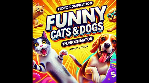 Cute Dogs and Cats | Funny Cats and Dogs Videos Compilation #4 | Funny Is Not Enough
