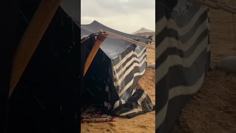 rain in desert #shorts #viral #movie #please #music #songs #entertainment #youtubeshorts