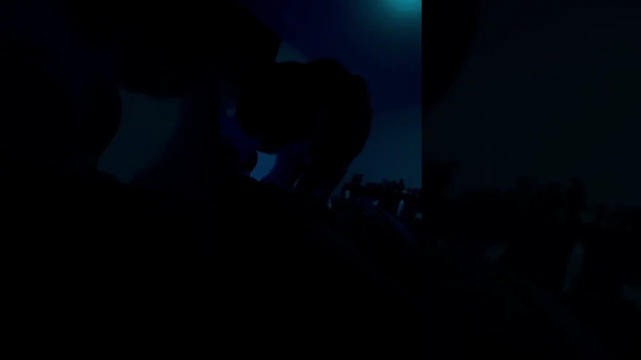 Got a cat on my back