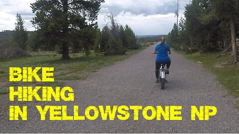 Attacked on a Bike Hike in Yellowstone National Park!!!